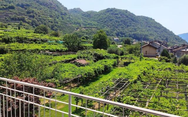 La casa dei nonni 3,0