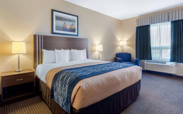 Comfort Inn & Suites