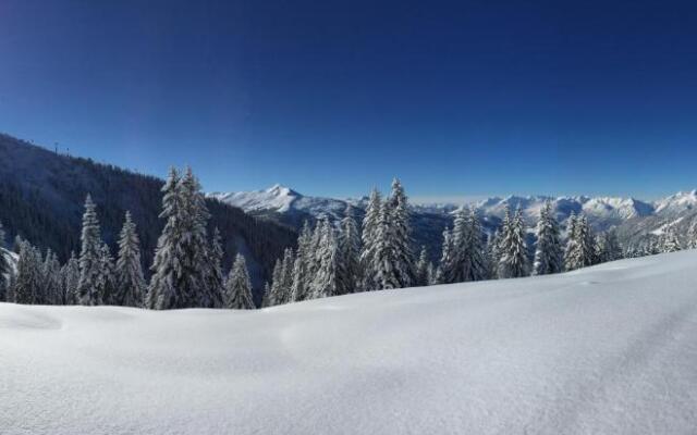 Aparthaus Alpbach Juwel