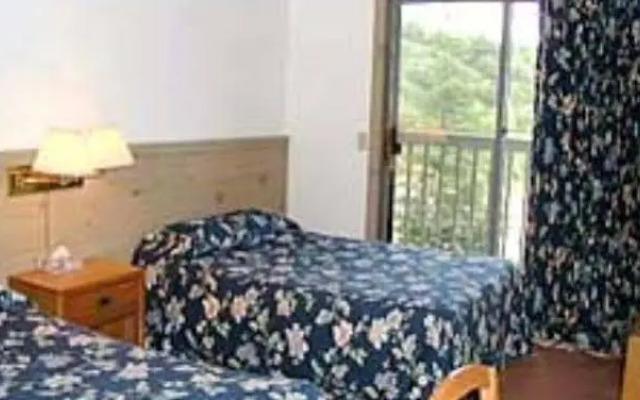 Austrian Haus Lodge