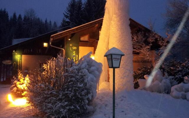 Ski&Bike Nassfeld apartments