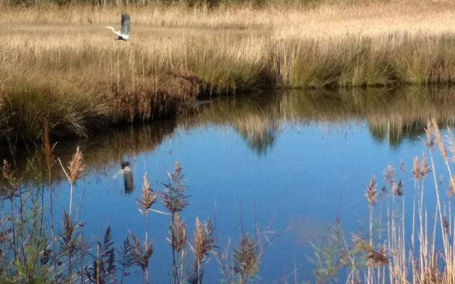 Alojamientos Rurales Cortijo Las Golondrinas
