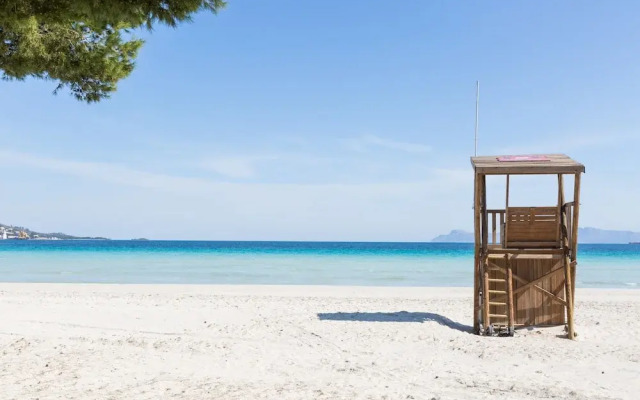 Cimbell Ii in Mallorca