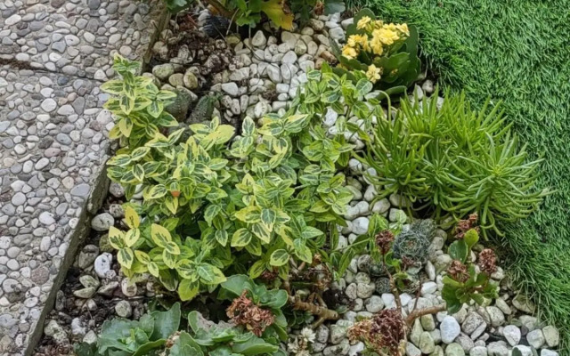 Movie Star Apartment with garden