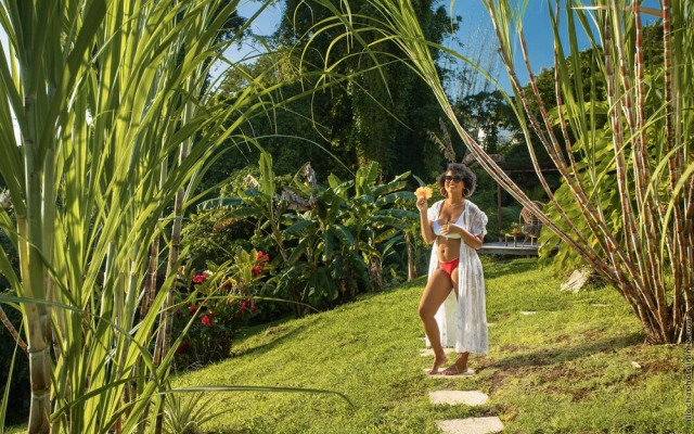 Créole Bay - Suites and Spa