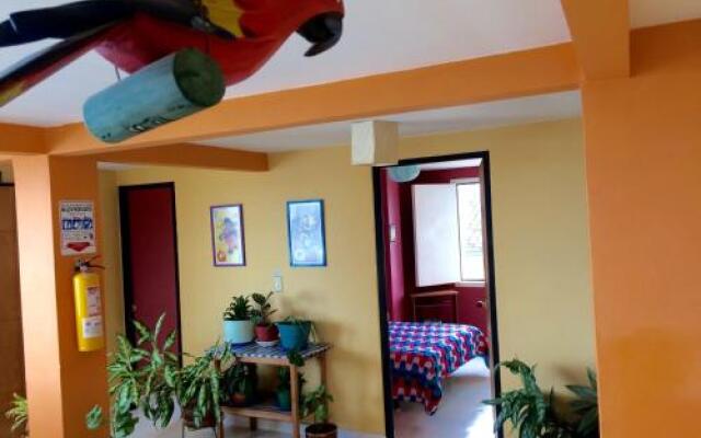 Hostel Trail