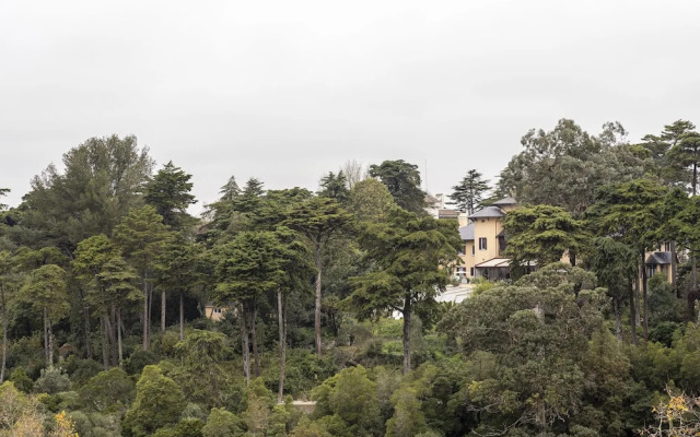 Sintra Marmoris Camélia