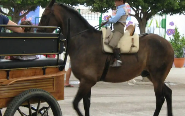 Special Fair In Malaga Beach Wifi