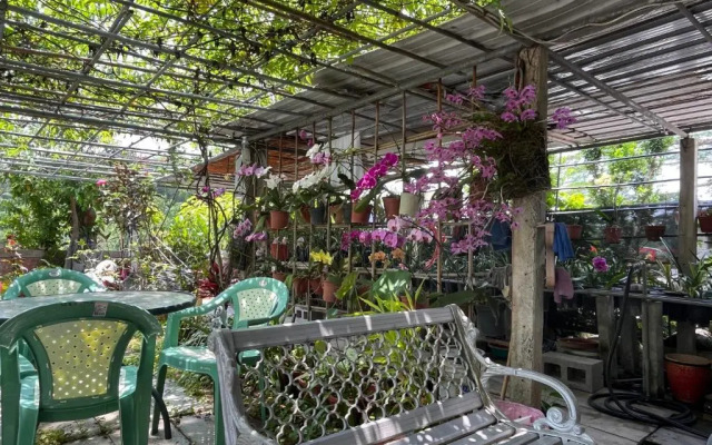 Garden Hostel