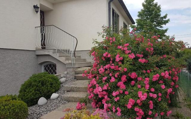 Very nice cosy new appart