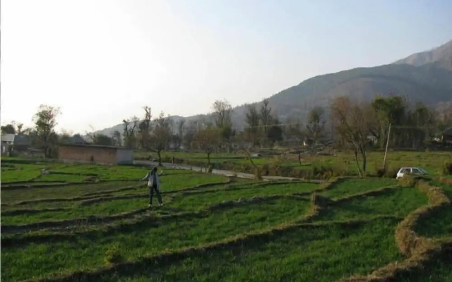 The Citadel Resorts,Jiya