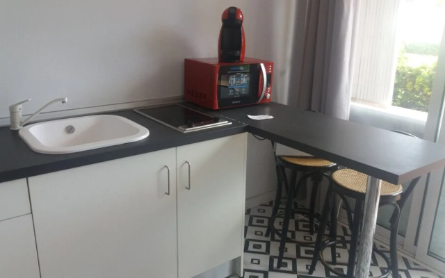 Sunrise Studio Zebra