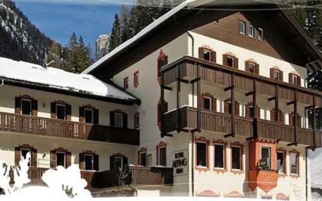 Alpino Plan