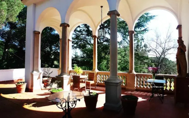Finca Los Cedros