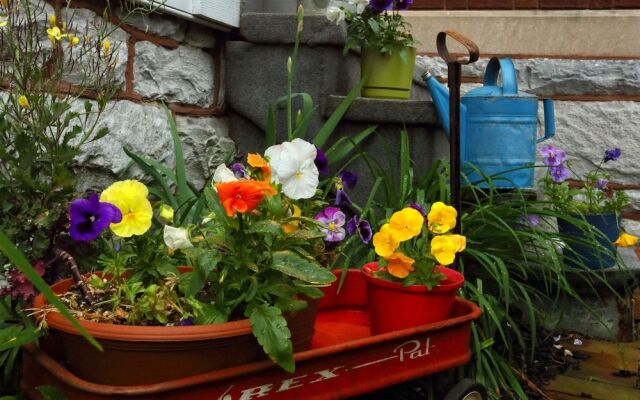 Olde Square Inn Bed and Breakfast