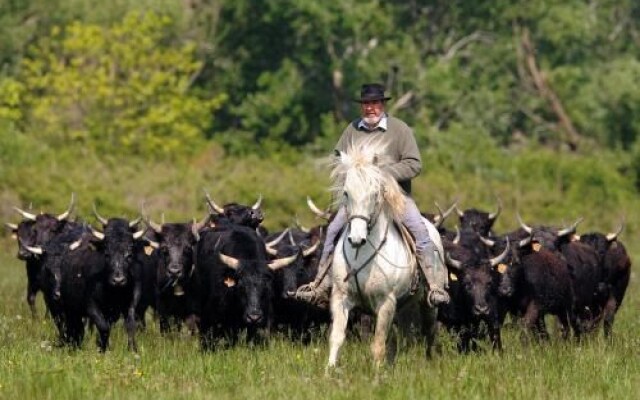 Mas du Menage en Camargue Manade Clauzel