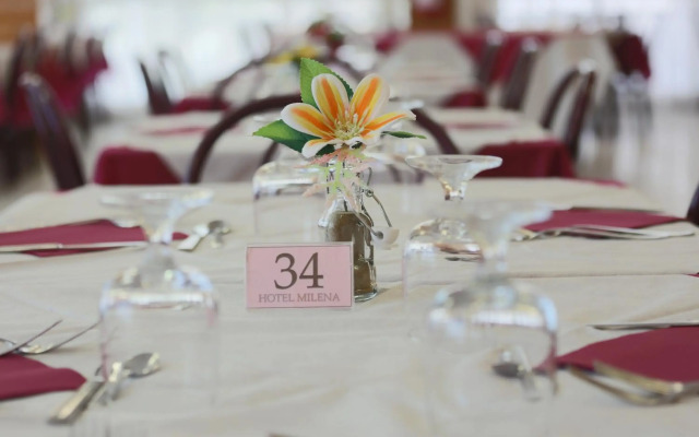 Hotel Milena