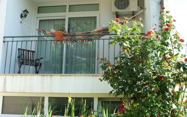 Solar dos Marcos Rural Accommodation