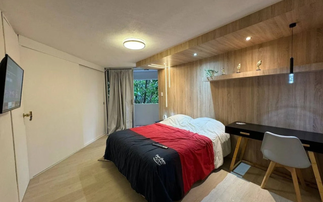 Apartment Near Reforma Agel