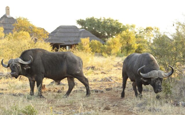 Rhulani Safari Lodge