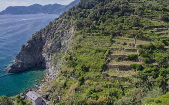 Marina di Corniglia