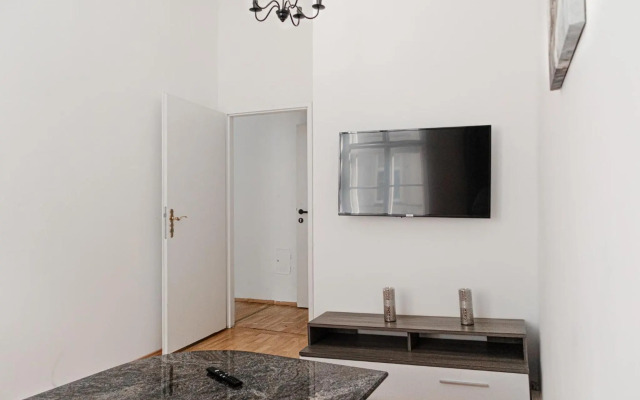 Big Apt in Viennas Center - Perfect for Longstays