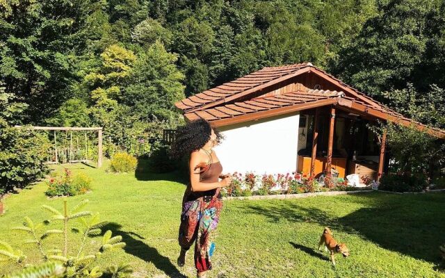 Kartal Vadisi Dağ Evleri