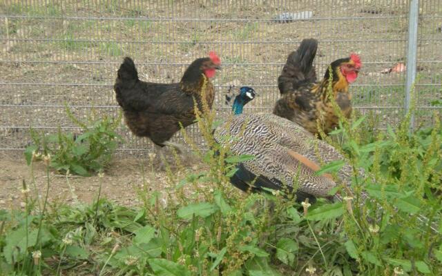 Domaine de Kerbillec