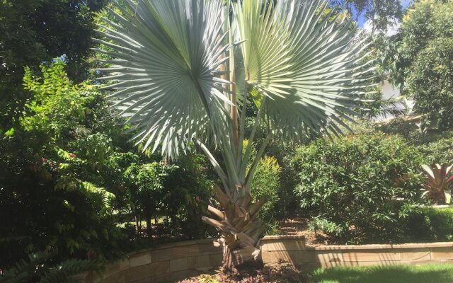 Balmoral Queenslander