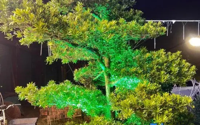 Longyandong Hot Spring Homestay