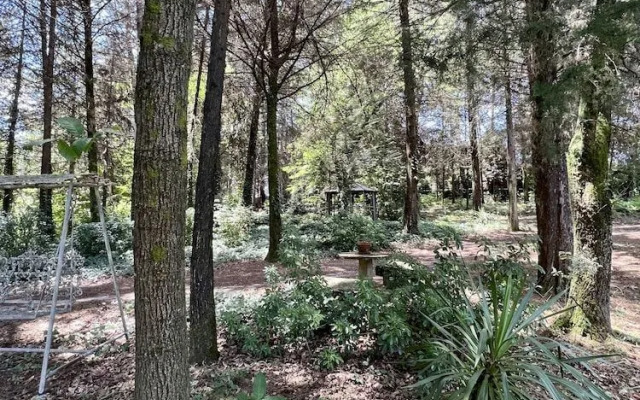 Villa`s Do Monte