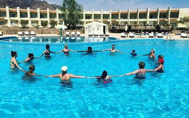 Dessole Holiday Taba Resort 4*