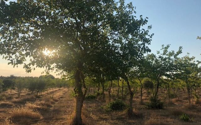 Antica Masseria Jorche