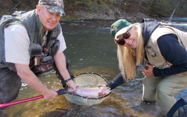 A B&B At Llewellyn Lodge