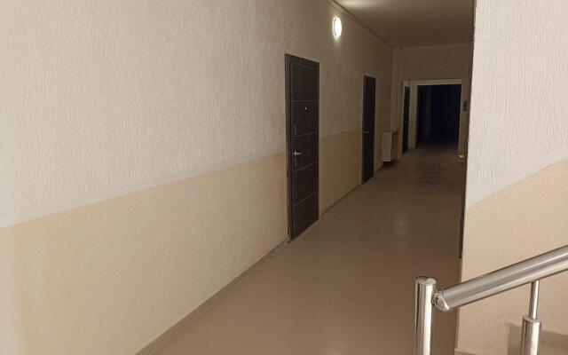Apartments on Mezhzanatorny passage 19