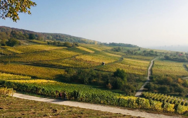 Ferienloft in der blauen Scheune