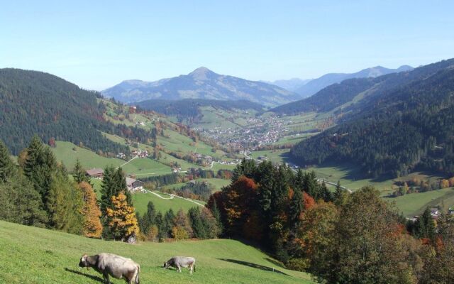 Hotel Pension Almrose