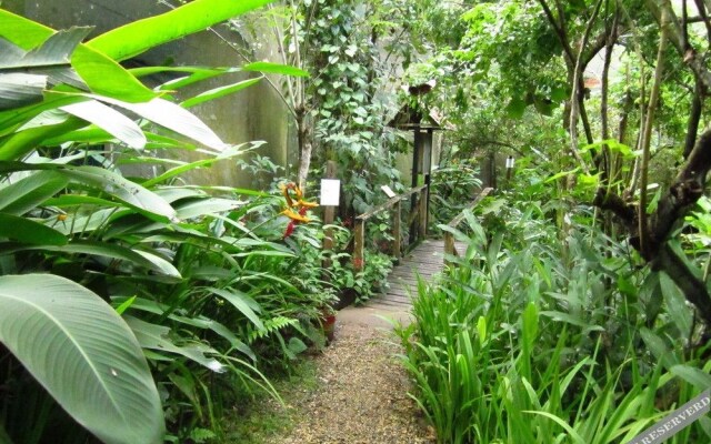 El Mariposario Montezuma Gardens