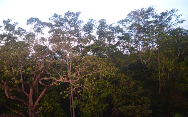 The Grand Hanthana