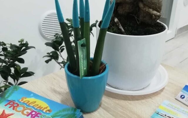 Sabbia Bianca Affittacamere