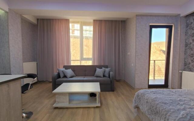 Gudauri Winter House