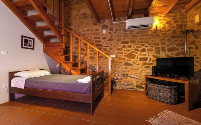 Raízes da Vinha - by Matias Nature