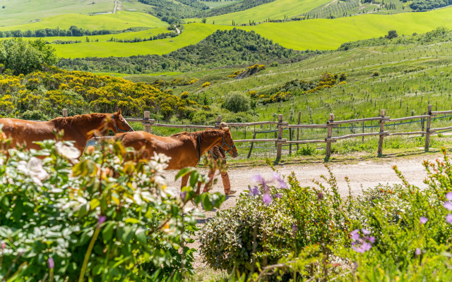 Podere Val D'Orcia - Tuscany Equestrian