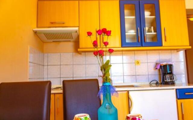 Apartment Piko