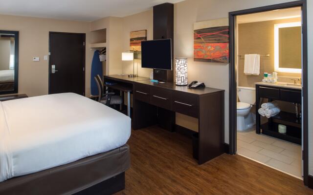 Holiday Inn Express & Suites San Antonio Medical-Six Flags, an IHG Hotel