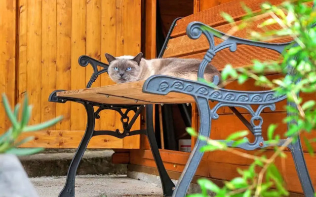 Ferienwohnung mit Terrasse