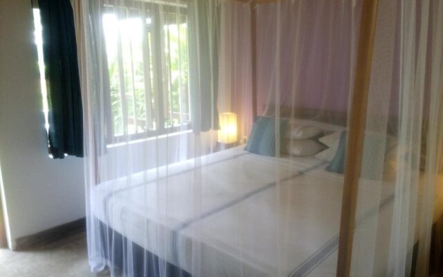 Rebirth Beach Resort