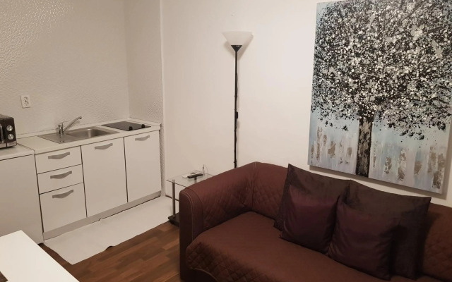Apartments Minerva