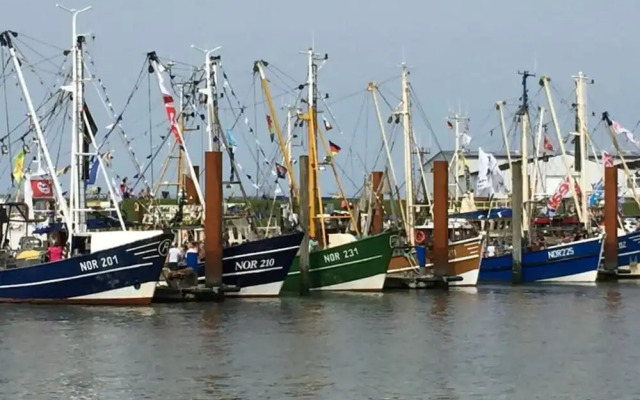 Charming Apartment in Norden