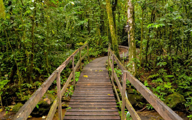 Termales del Bosque & Hot Springs